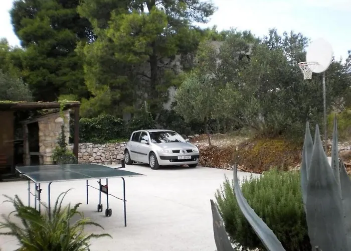 Tomislav トロギール